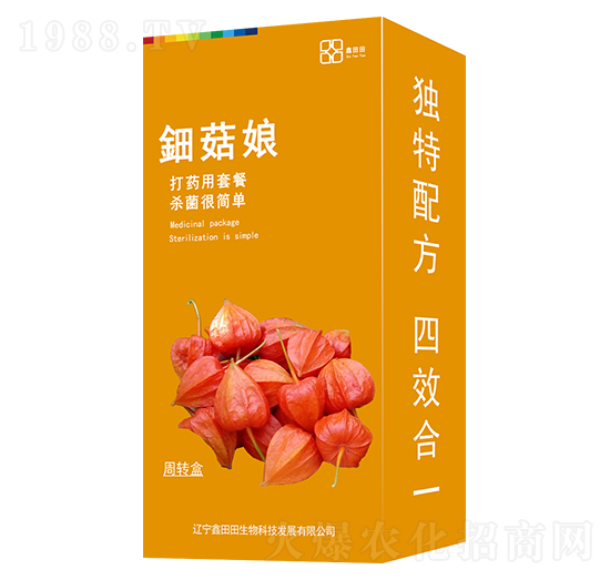 ⚹�����b�� ������