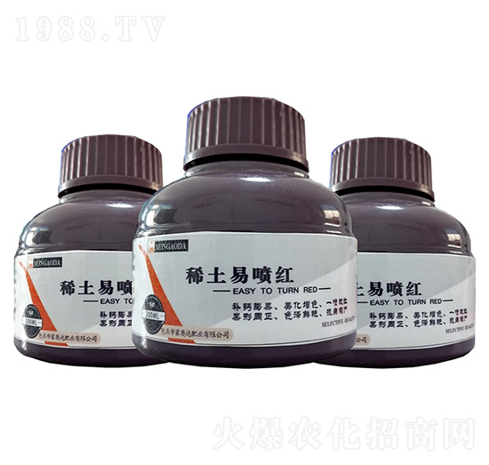 �����ׇ��t �ɊW�_