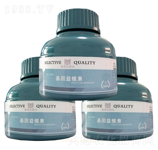 ������ֲ�� �ɊW�_(d��)