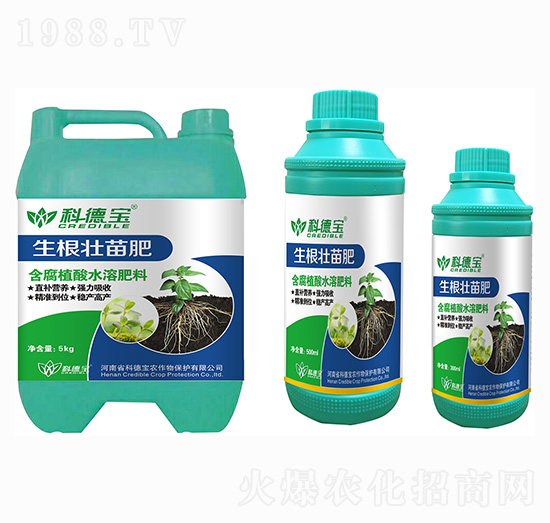 ���������-�Ƶ�