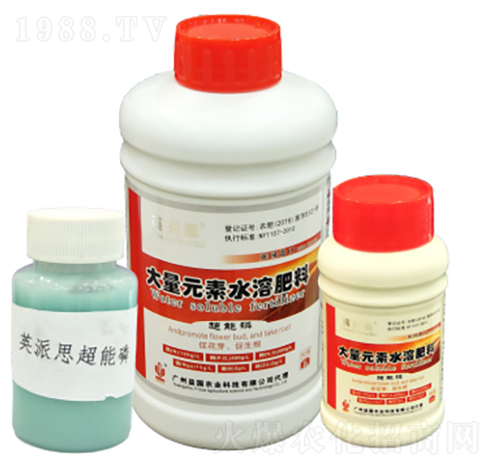 Ӣ��˼������� ���(gu��)�r(n��ng)�I(y��)