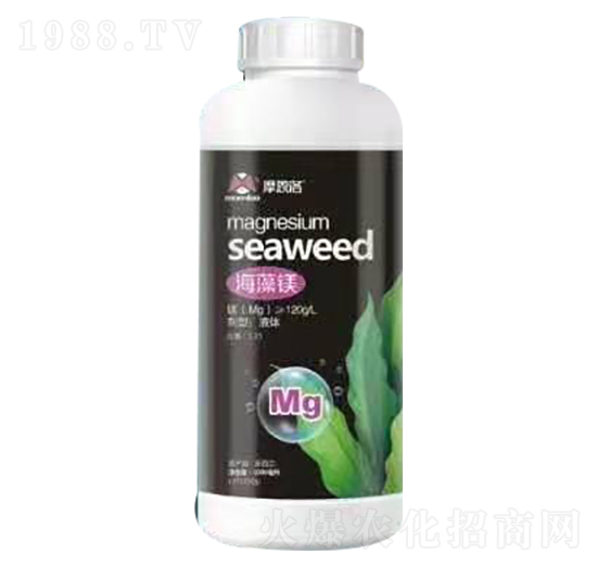 海藻鎂 摩恩洛