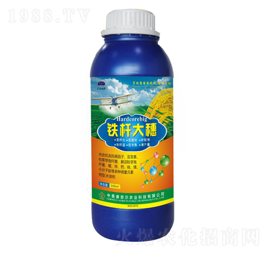 鐵桿大穗-美爾豐-康奈爾