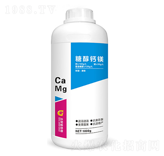 �Ǵ��}�V ���ý�