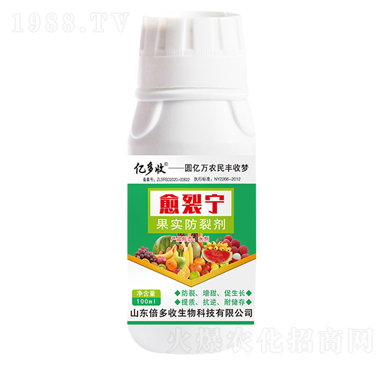 ����(sh��)���ф� ���ь� ������