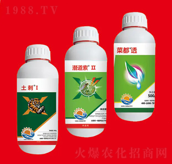 地蛆組合③ 海冉化學(xué)