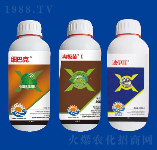 死棵組合③ 海冉化學(xué)