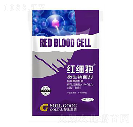 30g΢������� �t��(x��)�� ���ý�