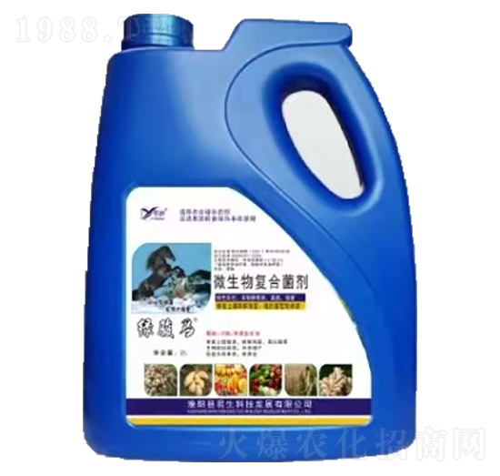 ΢�����(f��)�Ͼ��� �G�E�R��Ͱ�� ����