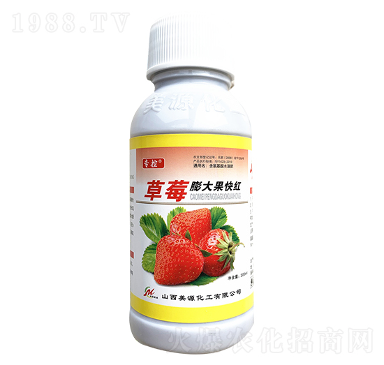 草莓膨大果快紅-苗哥農(nóng)化