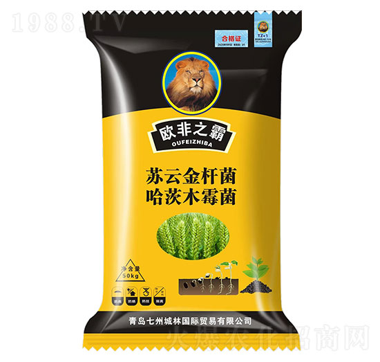 С�����طN��-�W��֮��