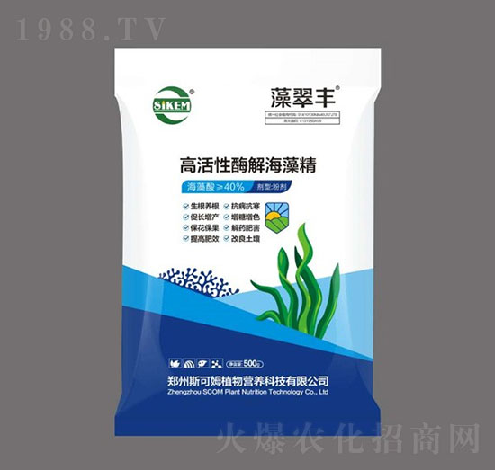 �߻���ø�⺣�徫-����S-˹��ķ