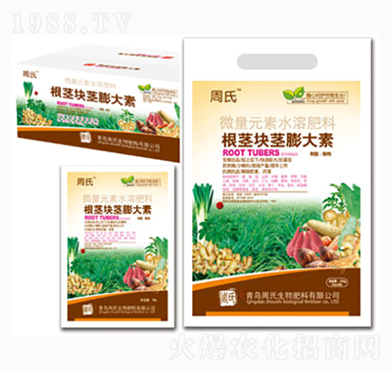 ���o�K�o�����-�����r��