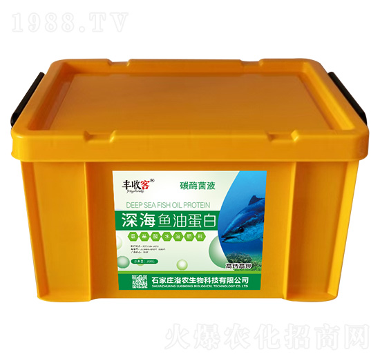 ��~�͵���-�S�տ�-���r(n��ng)����