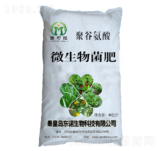 ΢�������-�����-�|�Z����