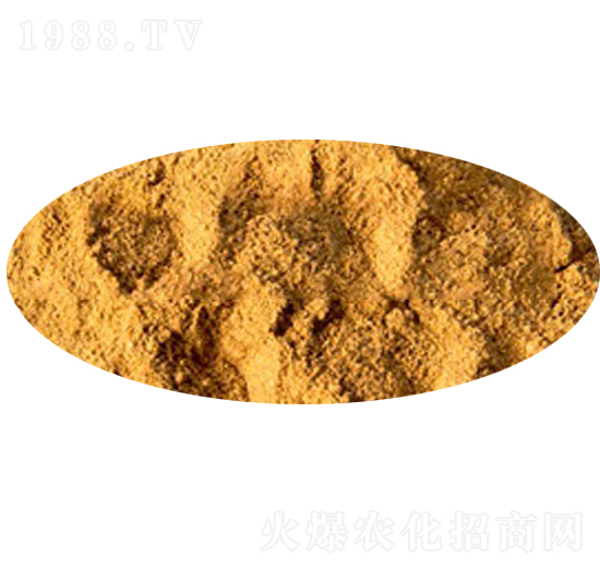 �۹Ȱ��ᣨ��-PGA����ĩ-�|�Z����