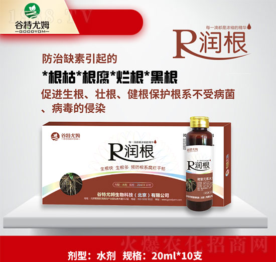 潤根-生根快、生根多，預防根系腐爛干枯-谷特尤姆