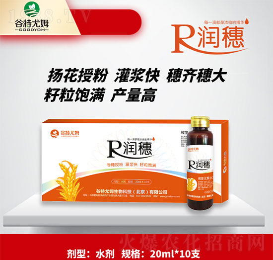 潤(rùn)穗-孕穗授粉，灌漿快，籽粒飽滿-谷特尤姆