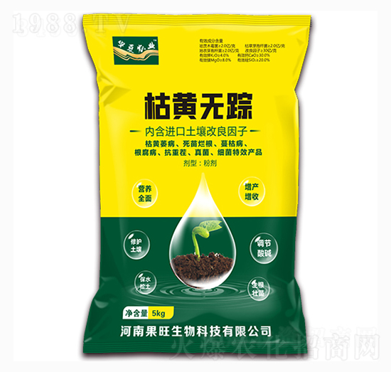 ���S�o(w��)ۙ-��������