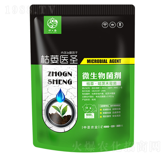 �ݲݡ�����ľù��-��ή�t(y��)ʥ-��ʥ�r�I(y��)