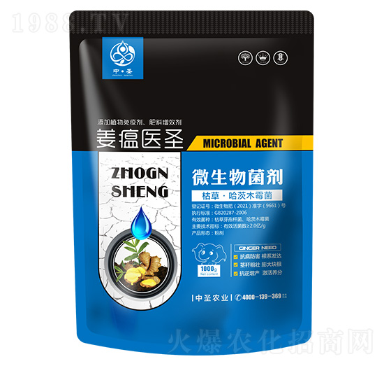 �ݲݡ�����ľù��-�����t(y��)ʥ-��ʥ�r�I(y��)