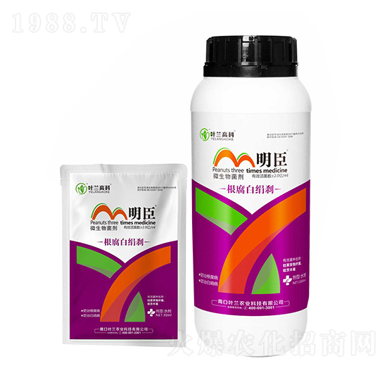 ΢�������-�����׽��x-����-�~�m�߿�