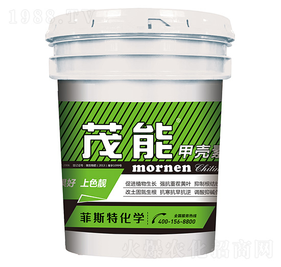 �ך���-ï��-��˹��