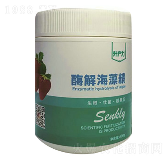 ��ݮ��(zhu��n)��-ø�⺣�徫-���a(ch��n)��