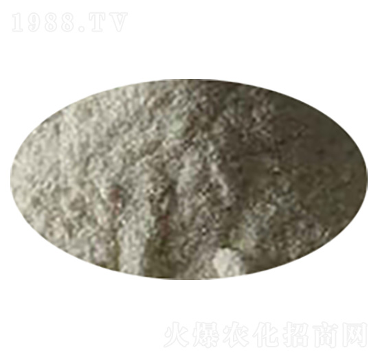 ���ᶡ���-���A