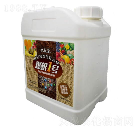 ����1̖(h��o)-�����-���v�r(n��ng)�I(y��)