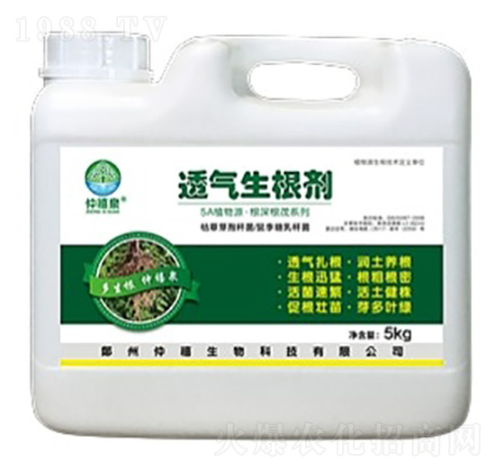 ͸��������-����Ȫ