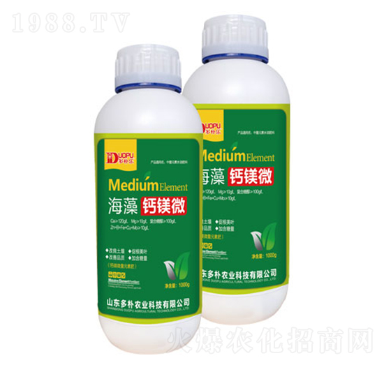 �����}�V΢-�����Ƽ�