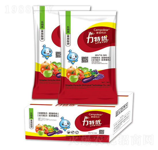 �������S�����-���؃�(y��u)-��������