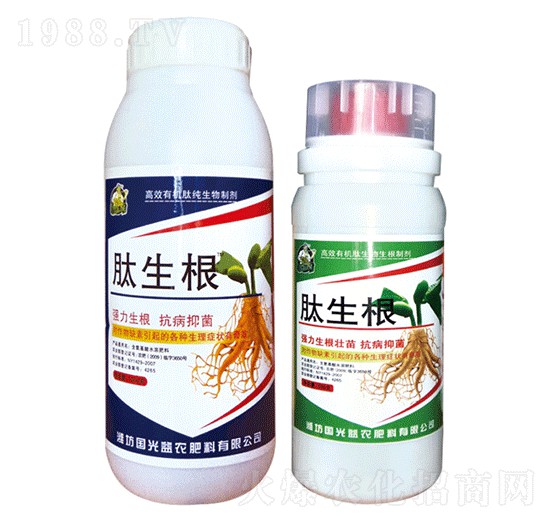 ������-��(gu��)�����r(n��ng)