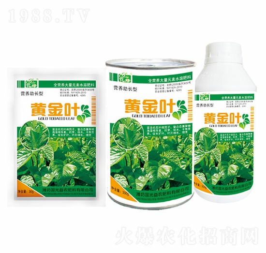 �I�B(y��ng)���L��-�S���~-�������r