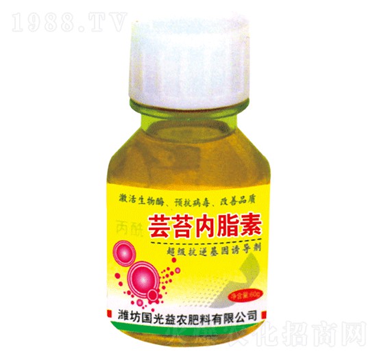 �|̦��֬��-�������r(n��ng)