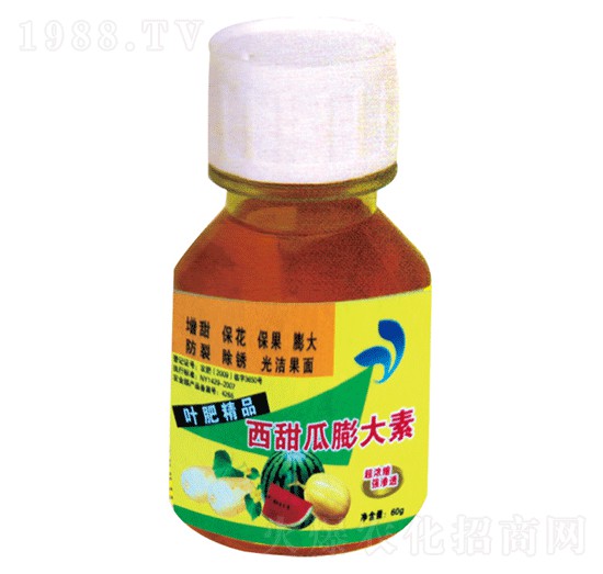 ����������-��(gu��)�����r(n��ng)