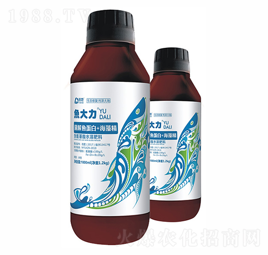 �����~����+���徫-�~����ƿ�b-��������