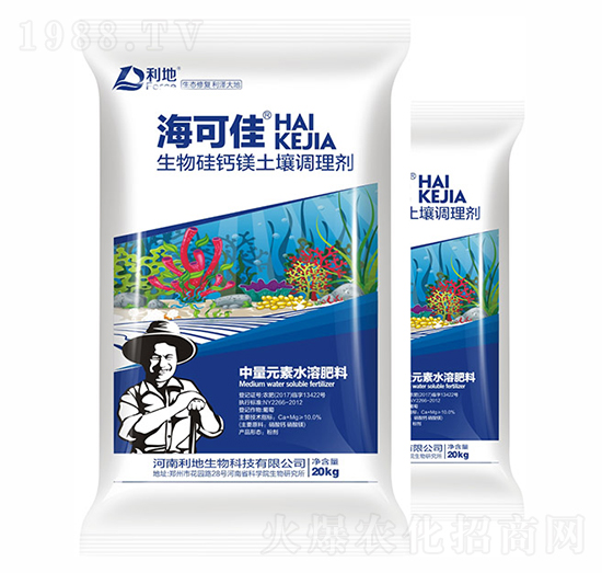 ������}�V�����{�턩-���ɼ�-��������