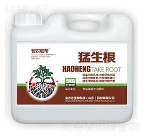 ������-���_(d��)