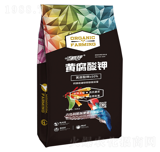 �S�����-�����-��(r��n)��Դ�ʘI(y��)