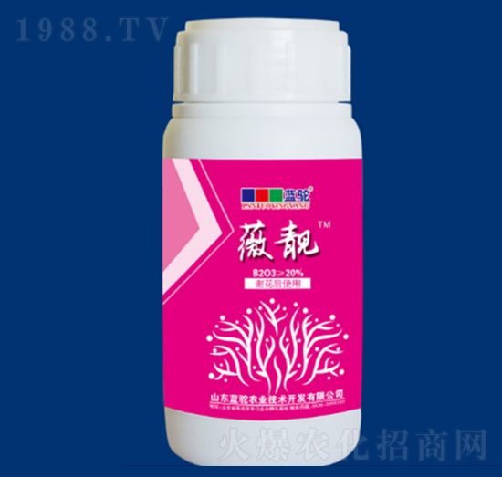 ޱ�n�K�o�(l��i)-�{(l��n)��r(n��ng)�I(y��)