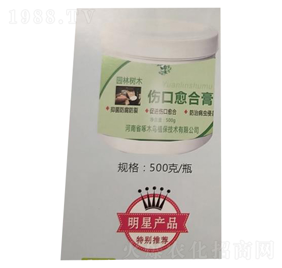 500g�������ϸ�-��ľ�B