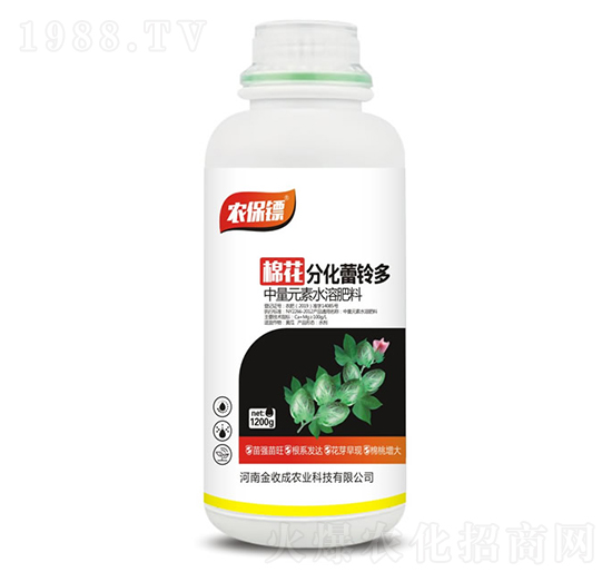 棉花分化蕾鈴多-農(nóng)保鏢-金收成