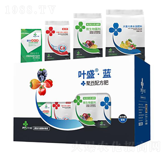 �~ʢ�{�ײ�-�~ʢ����