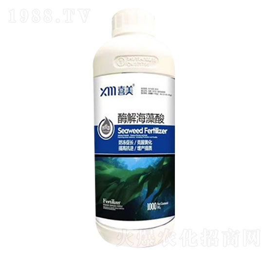 ø�⺣����-ϲ���r�I(y��)