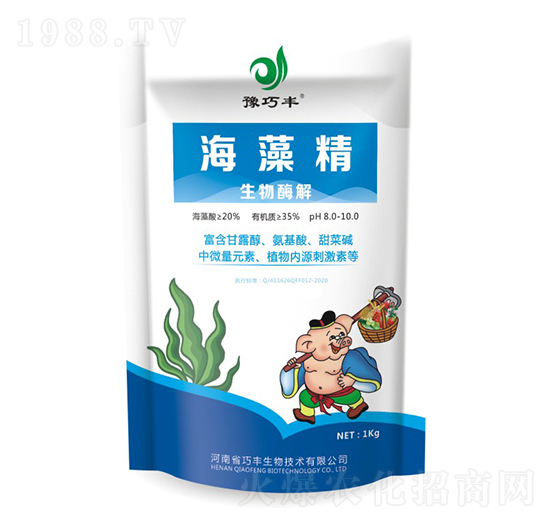 ����ø�⺣�徫-ԥ���S