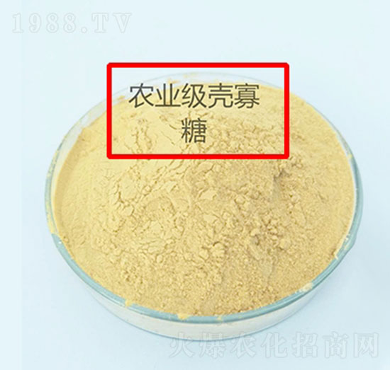 農(nóng)業(yè)級殼寡糖-山東昌瑞