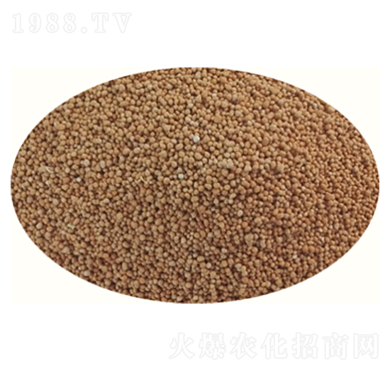 ��ጲ�ƺ��-��(��i)�̵؃�(y��u)-�߸�