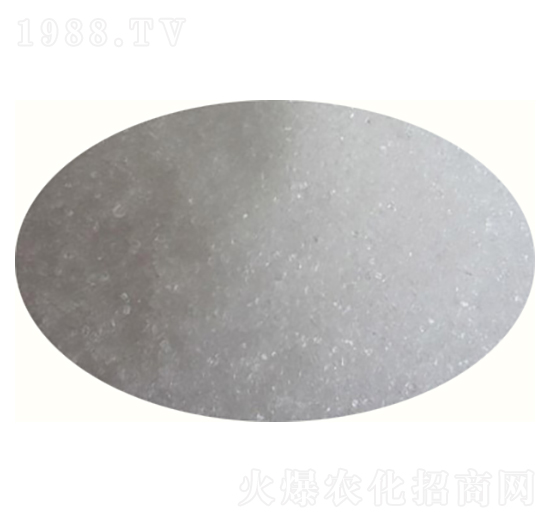 ���w���׷�-�ű���-�߸�